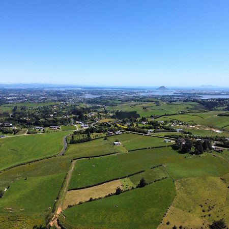 Homewell Tauranga Exterior photo